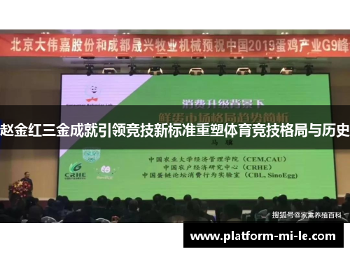 赵金红三金成就引领竞技新标准重塑体育竞技格局与历史