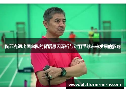 陶菲克退出国家队的背后原因深析与对羽毛球未来发展的影响 陶菲克退出国家队的背后原因深析与对羽毛球未来发展的影响