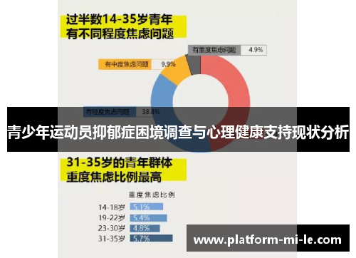 青少年运动员抑郁症困境调查与心理健康支持现状分析 青少年运动员抑郁症困境调查与心理健康支持现状分析